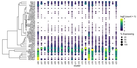 Let's Plot 7: Clustered Dot Plots in the ggverse | eye Bioinformatician