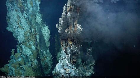 New Hydrothermal Vent Fields Discovered on Mid-Atlantic Ridge