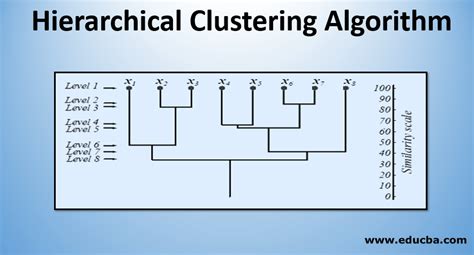 Hierarchical Clustering Algorithm | Types & Steps of Hierarchical ...