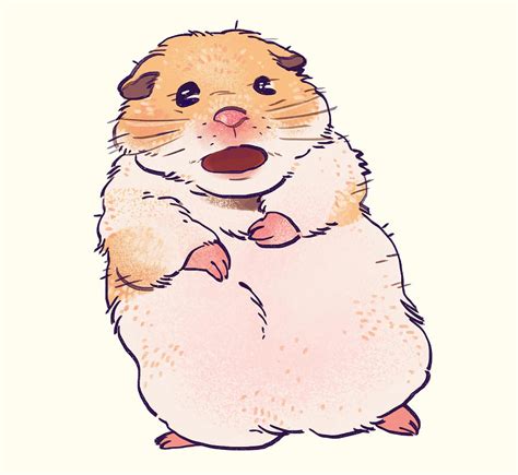 Top 10 Hamster Meme Drawing - IMAGESEE