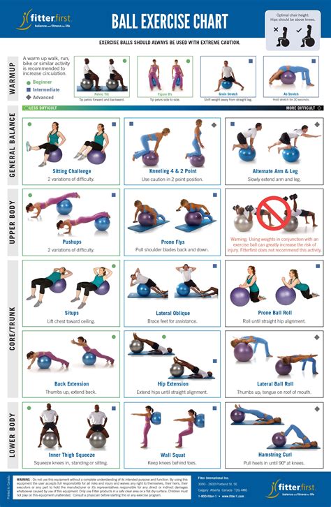 Beginner Core Exercises Chart - core exercise at home