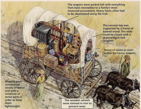 Pin by Moritz on Western | Wagons, Covered wagon, History