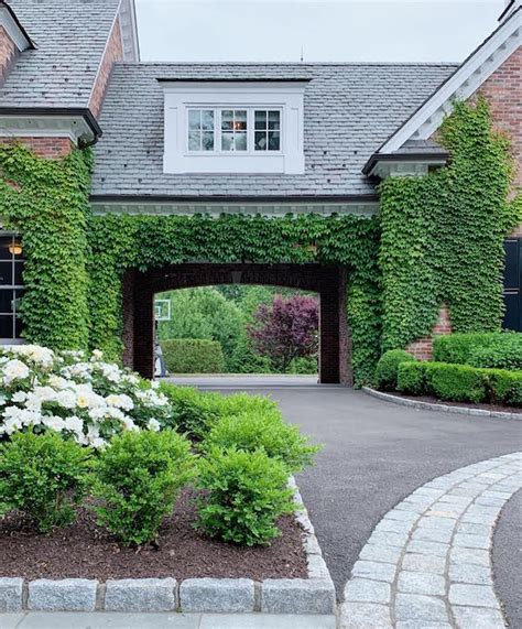 How to choose the best ivy walls for your home - The Zhush