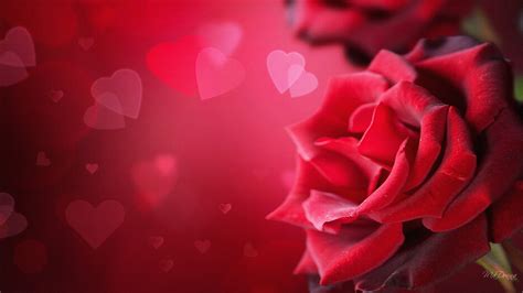 Valentine S Day Wallpapers - WallpaperSafari