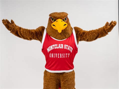 Mascots: where are all the women? – Hawk Talk @ Montclair State – Medium