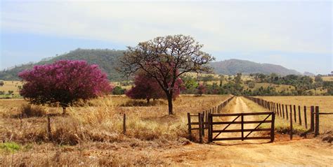 Goias Wallpapers - Wallpaper Cave