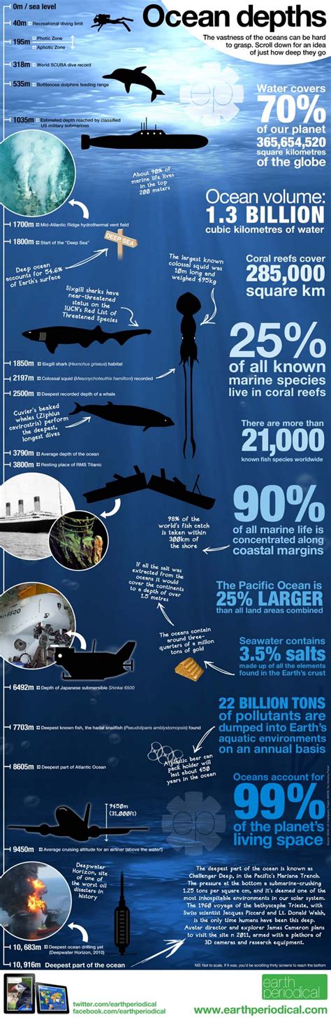 Top 10 Interesting Infographics About Our Oceans | Page 4 of 10 ...