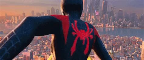 Miles Morales Spider Verse GIF