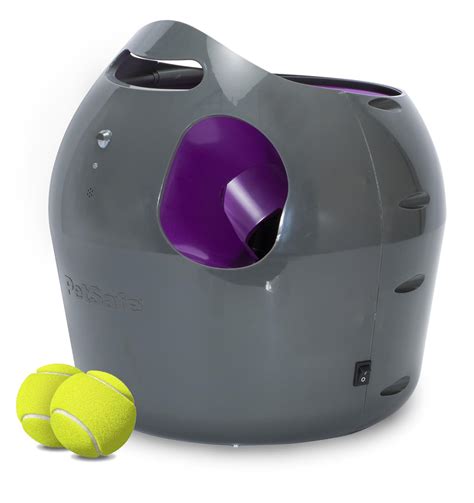 PetSafe Automatic Ball Launcher Review - Dog Care HQ