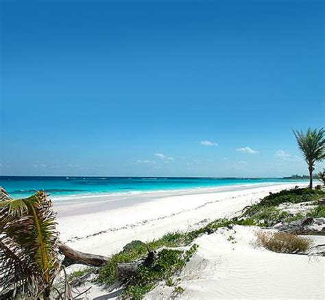 French Leave Beach - Eleuthera e Harbour Island alle Bahamas