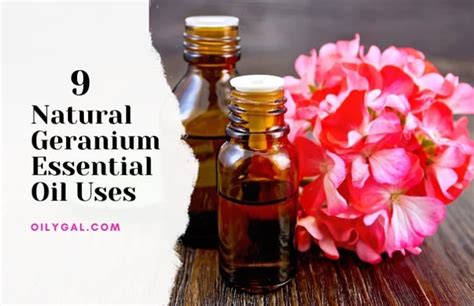 9 Natural Geranium Essential Oil Uses and Emotional Benefits - Oily Gal