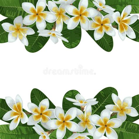 Plumeria Lei Clip Art