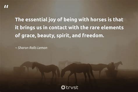 Good Horse Quotes And Sayings