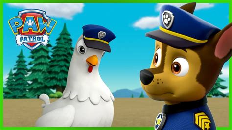 Chase and Chickaletta Change Bodies and More! | PAW Patrol | Cartoons ...