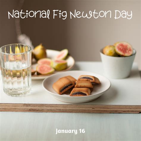 National Fig Newton Day - myorthodontists.info