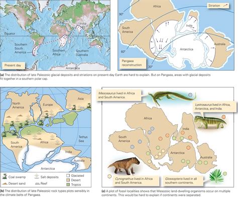 Wegener’s Evidence for Continental Drift ~ Learning Geology ...