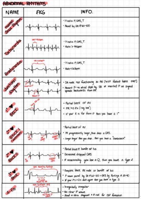 Pin by Gabrielle Rosati on Cardio | Medical school essentials, Medical ...