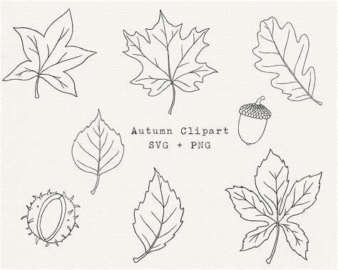 Leaf Clipart Outline