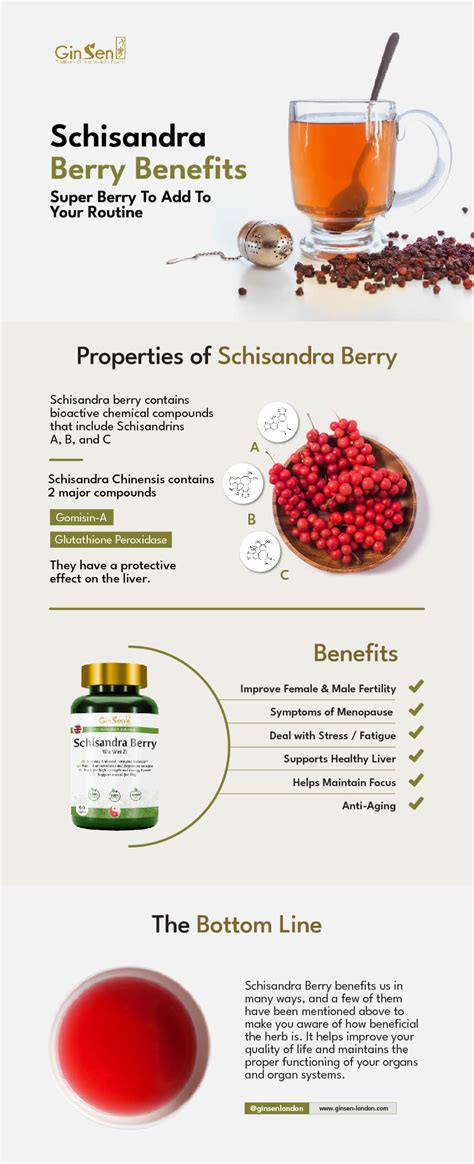 6 Schisandra Berry Benefits - Where To Buy | GinSen