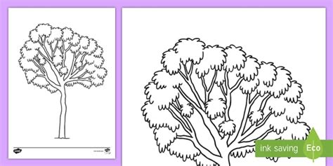 Ghaf Tree Colouring Page (Teacher-Made) - Twinkl