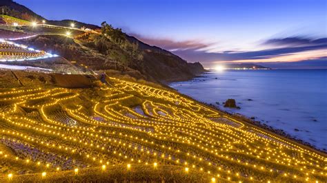 Japan's Illuminated Rice Field Is Our New Favorite Holiday Display ...