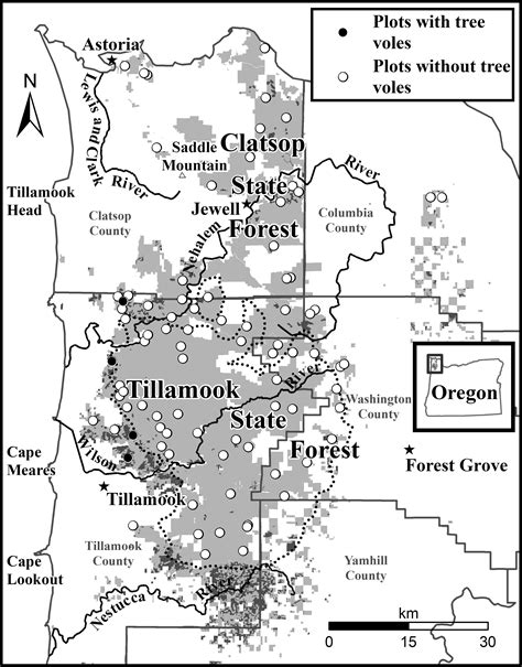 Distribution and Abundance of Tree Voles in the Northern Coast Ranges ...