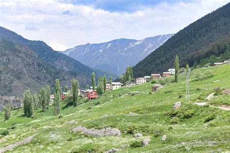 The countryside of NE Turkey, May-June 2019. | Landscape, Countryside ...