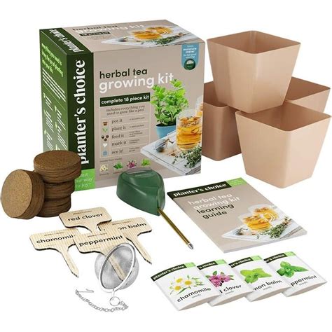 Herbal Tea Growing Kit – Typo Market