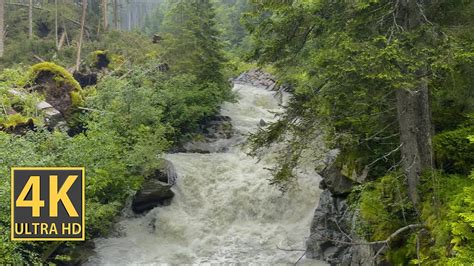 Forest Waterfall Nature Walk 4K (With Ambient Nature Sounds And Music ...