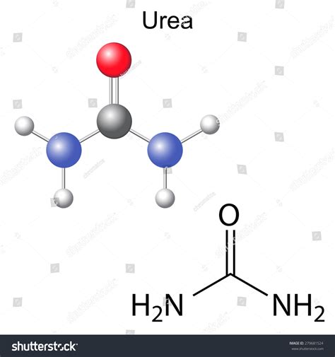 Structural Chemical Formula Model Urea Molecule Stock Vector (Royalty ...