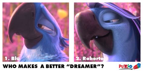 Image - Rio2-Blu-Roberto-who-makes-a-better-dreamer by Purio.jpg | Rio ...