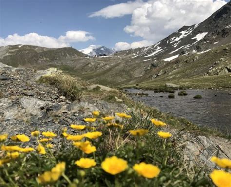 Stelvio National Park, glaciers, mountains and lakes