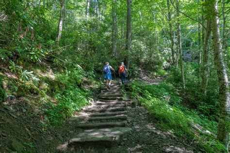 Hiking Chimney Tops Trail — a trail built to last for decades | Friends ...