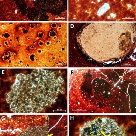 SEM micrographs presenting mineral content (Gbt-gibbsite; Bhm-böhmite ...