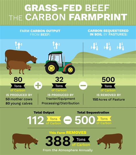 A Guide to Grass-Fed Beef | Fix.com