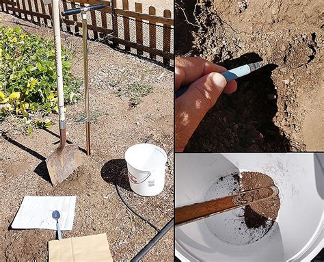 Backyard Gardener: Soil sampling, analysis not expensive, great value ...