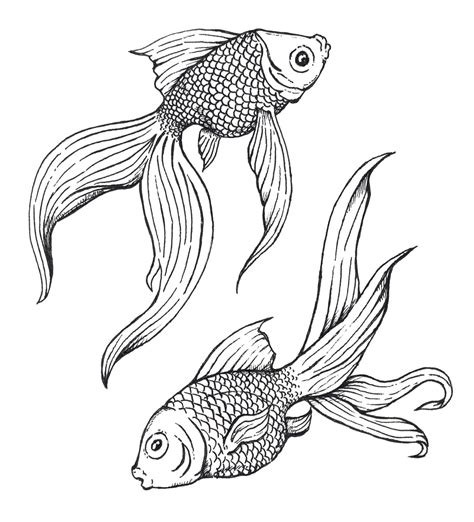 Gold Fish - Pen & Ink by Wendell Cisco II | Pen art drawings, Ink pen ...