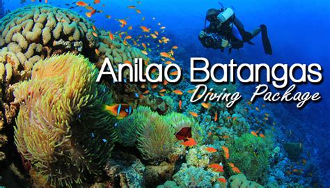 Anilao Batangas Diving Package