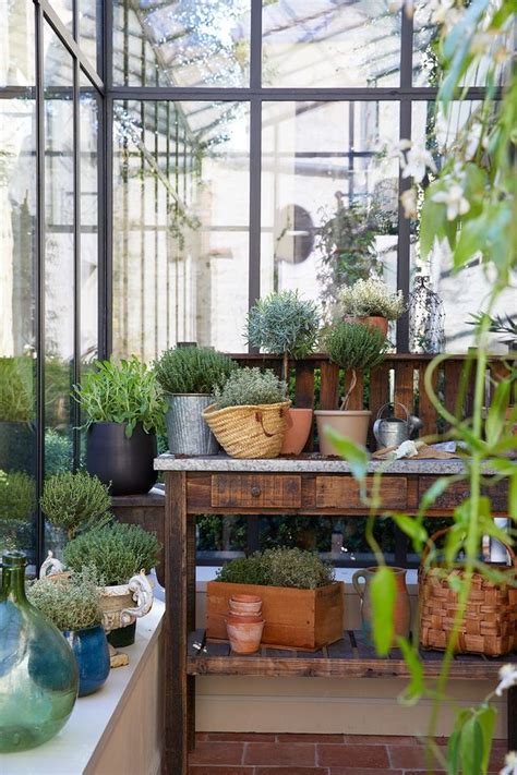 Quelles plantes pour un jardin d'hiver ? - Côté Maison