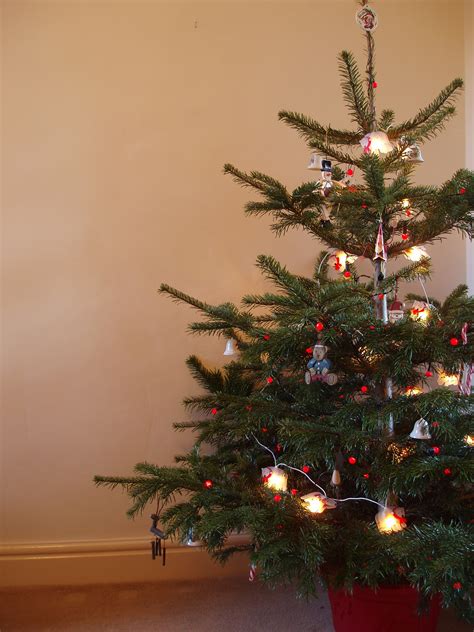 Photo of traditional christmas tree | Free christmas images