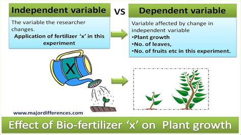 Independent variable vs Dependent variable explained with a simple ...