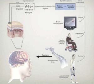 Brain Machine Interface - Helical IT Solutions Pvt Ltd