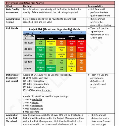 Risk Management Plan Template Doc Fresh Risk Management Plan Template ...