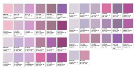 √ Purple Color Chart With Names