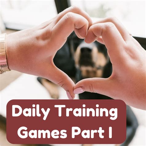 Daily Dog Training Games Part I - SpiritDog Training