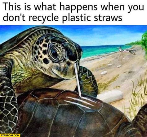 This is what happens when you don’t recycle plastic straws turtle ...