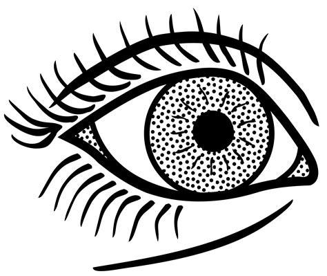 eye - lineart | Line art vector, Line art, Vector graphics