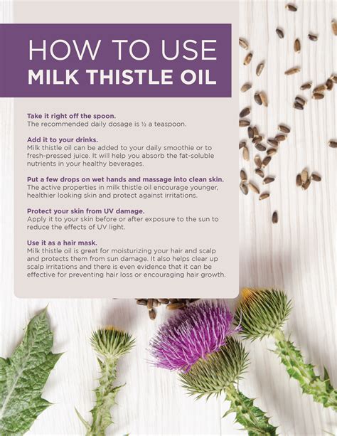 Top 10 Benefits of Milk Thistle | Activation Products Blog