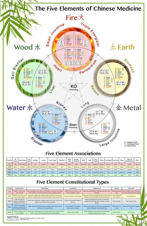 beautiful five element chart - Google Search | My Acupuncture Office ...