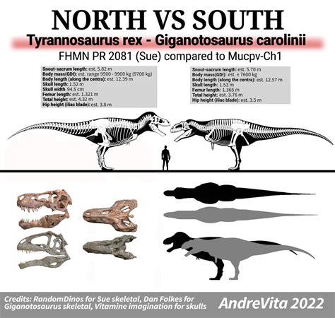 Tyrannosaurus-Giganotosaurus SIZE COMPARISON by JokerLucille666 on ...